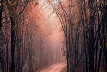 全尤文：欧冠资格是尤文下赛季能否引进汉茨科的.