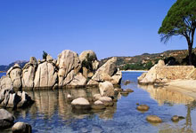 AC米兰的阵容，这里有谁？.